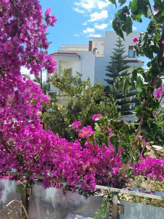 Hotel Joni - Fotoja 3