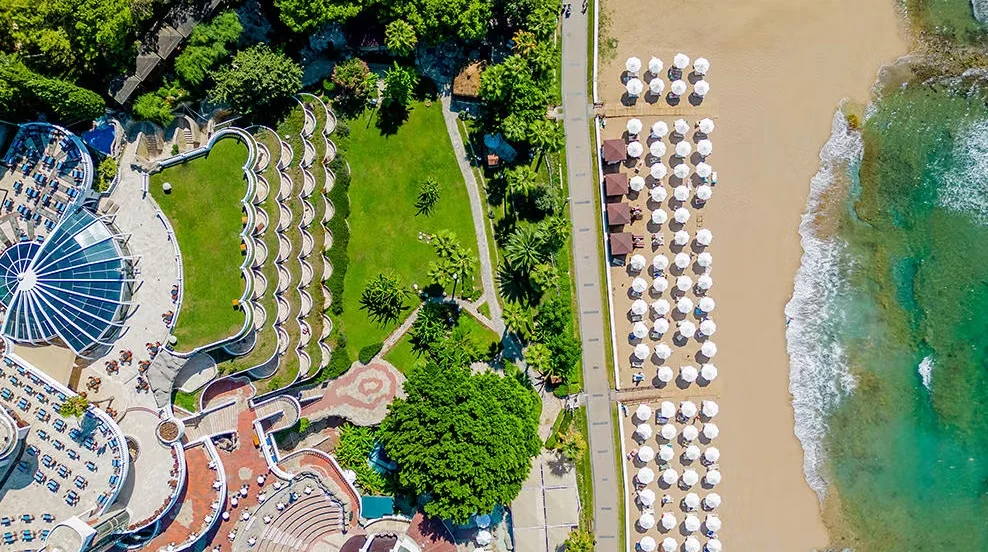 Crystal Sunrise Queen - Fotoja 3