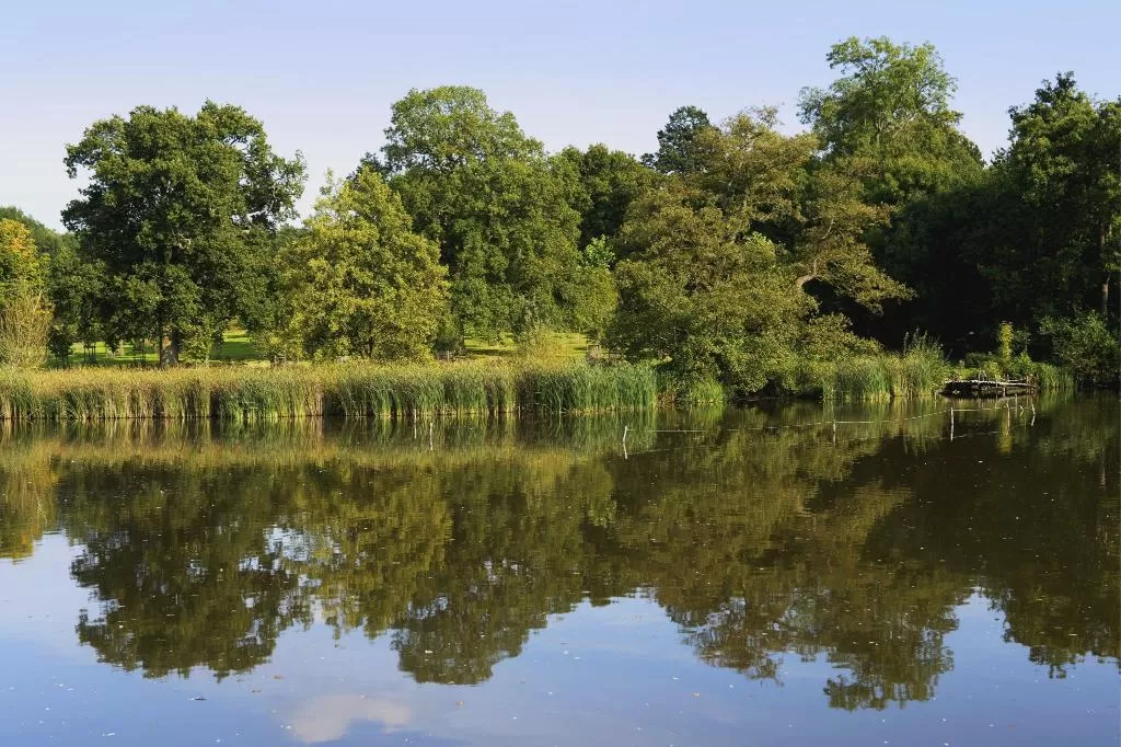 Marvida Family Eco (Renovated in 2024.)