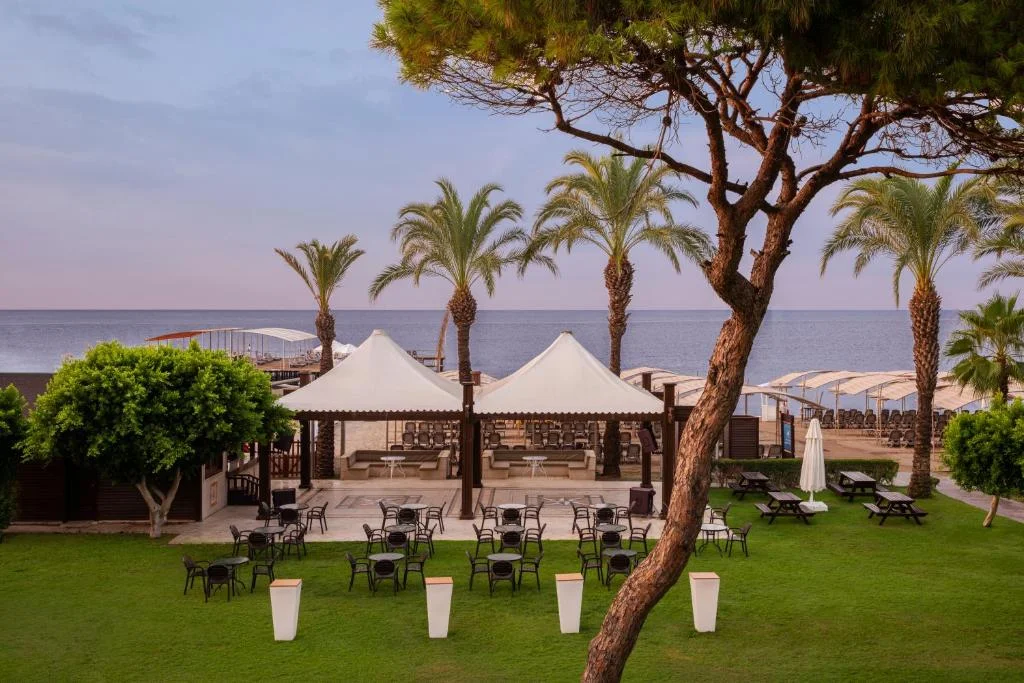 Papillon Ayscha - Fotoja 7