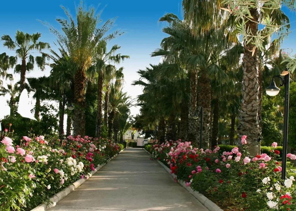 Adora Hotel & Resort - Fotoja 10