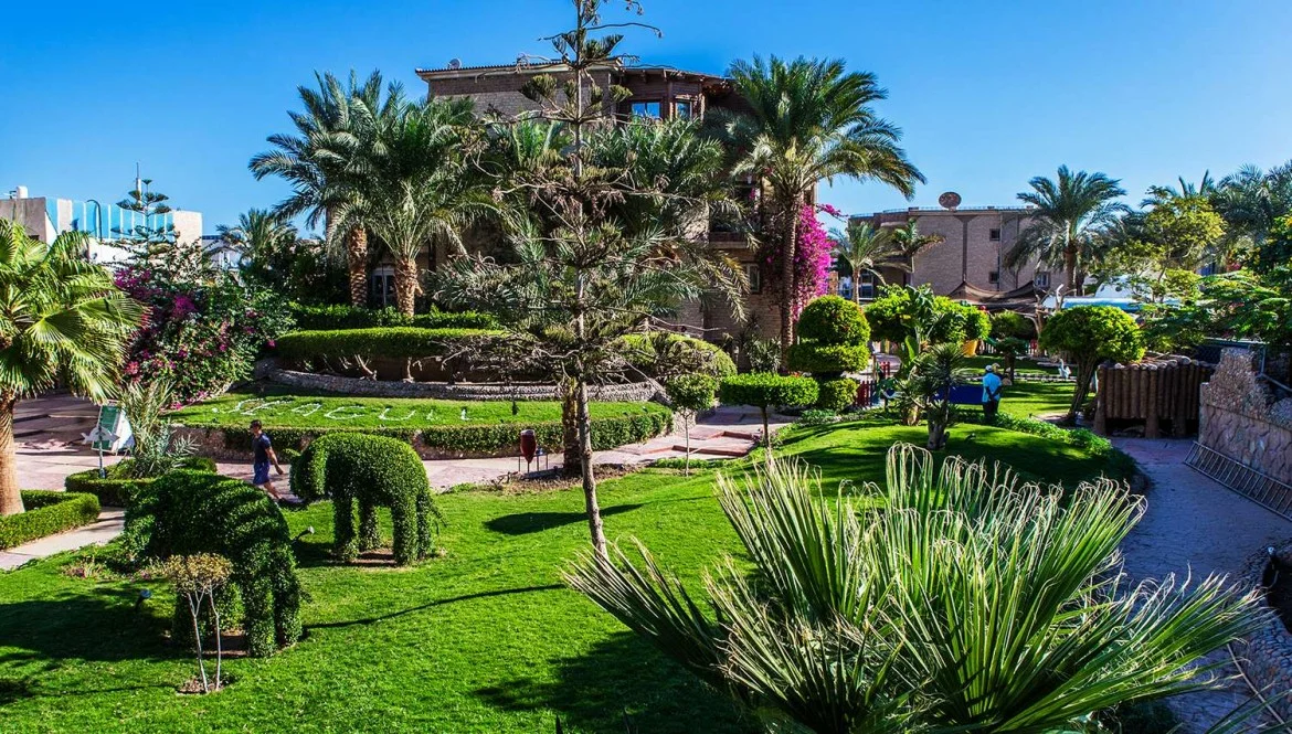 Seagull Resort Hurghada