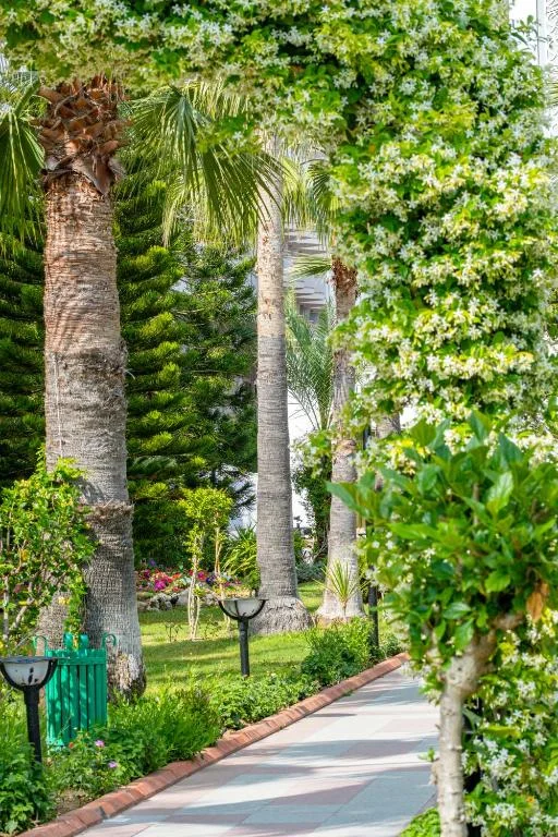 Stella Beach - Fotoja 8